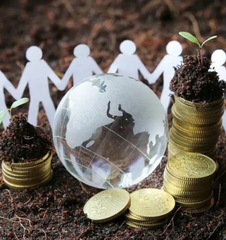 Đổi mới mô hình trồng sâm bền vững